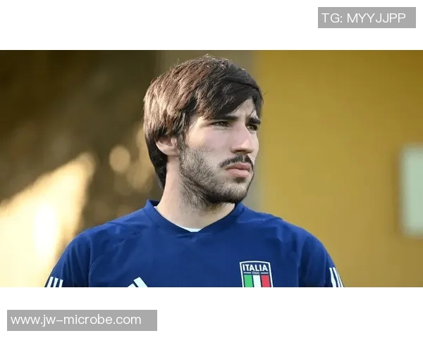 法国足球明星卡帕的传奇之路与他在绿茵场上的辉煌成就