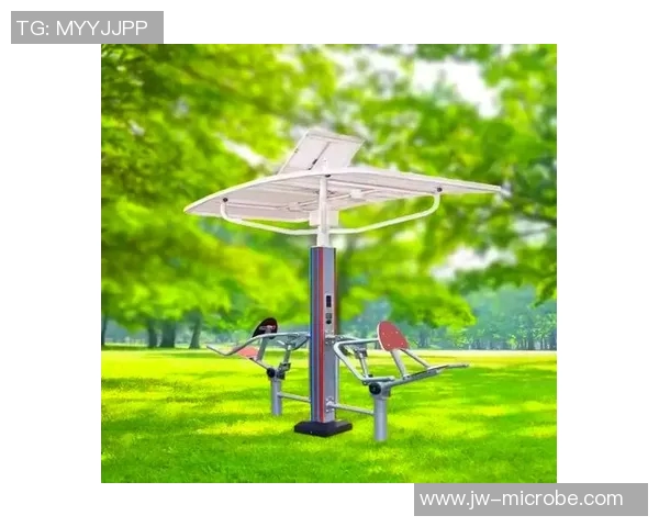 小区健身器材使用图解详解助你科学锻炼提升身体素质与健康水平