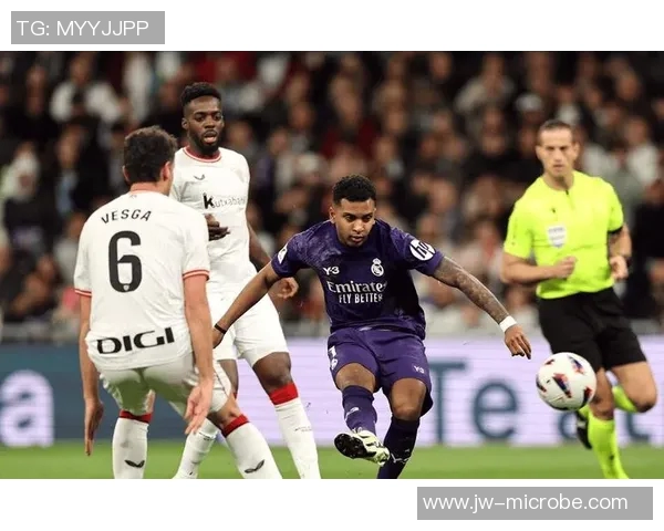 塞维利亚足球队近年来的辉煌成绩与未来发展展望分析