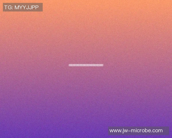 霉霉与篮球明星的甜蜜恋情揭晓背后的故事与精彩瞬间