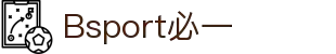 必一（运动科技有限公司）官方网站-B·Sport